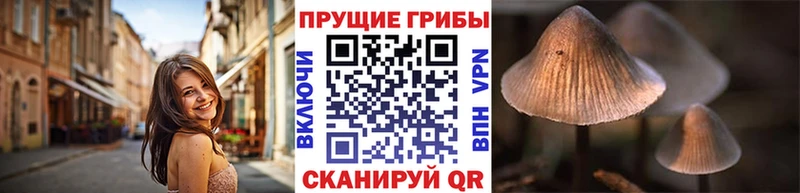 Галлюциногенные грибы MAGIC MUSHROOMS  Усть-Илимск 